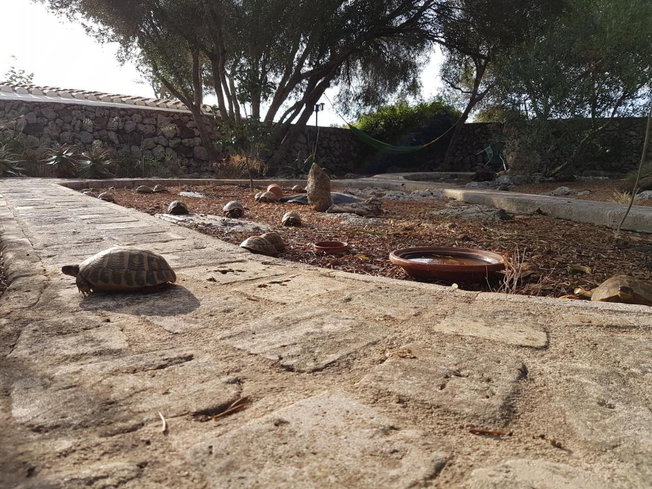 Turismo Rural Biniati Des Pi Sant Lluis Exteriör bild